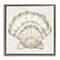 Stupell Industries Clam Shell & Neutral Coral Floating Frame By Yvette St. Amant